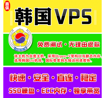 韩国VPS机房4096M国外，网站seo优化核心